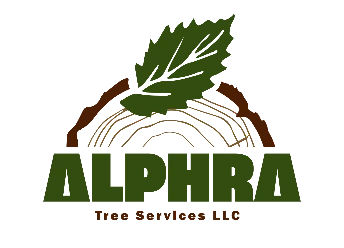 Alphra Tree